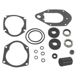 itemprop="name">NAPA SMALL ENGINE 182635 LOWER UNIT SEAL KIT